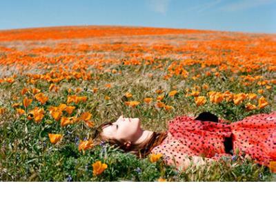 单恋而不得的古诗词 描写单恋的古诗词