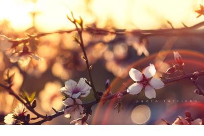 爱情说说幸福 爱情说说文字