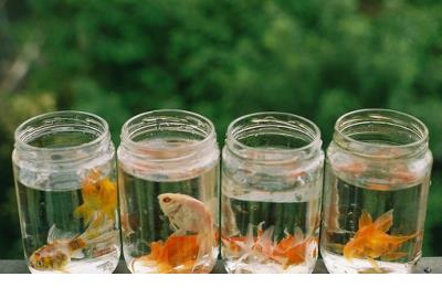 qq搞笑说说2020最新版