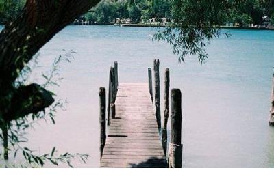 你信了爱情,就迷失了我自己