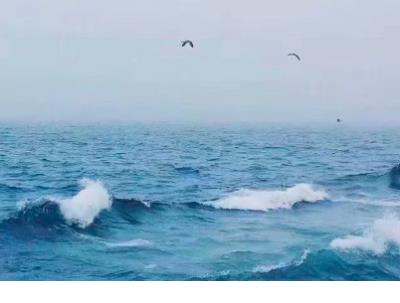 女生睡前说说心情短语