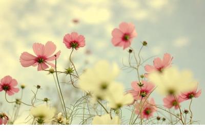 触动心灵的句子经典