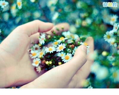 笑到喷饭的图片