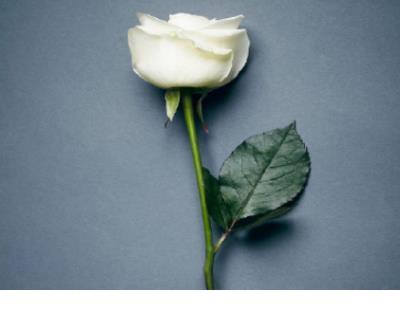 欺骗图片伤感说说 爱情伤感说说配图