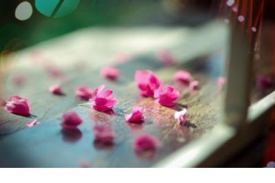 qq空间感人的说说