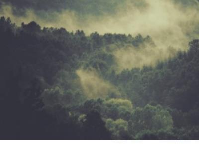 失落的心情不好说说 真正的伤心,是流不出一滴眼泪