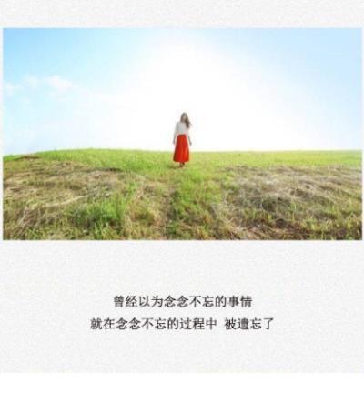 感人的短语爱情句子 美好的爱情短语句子