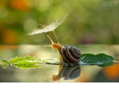 如果不能钟情一人那就撩遍全世界是什么意思