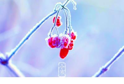 爱情伤感哲理感悟句子 关于爱情的伤感哲理句子