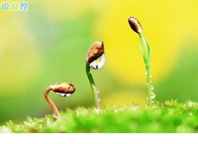 心情说说感悟生活