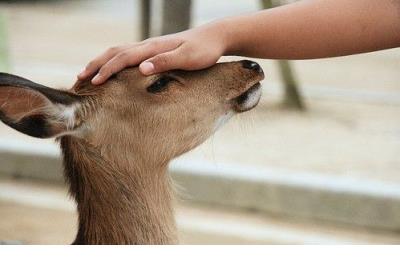 爱情说说配图浪漫 爱情说说文字