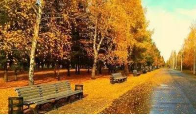 欺骗图片伤感说说 爱情伤感说说配图