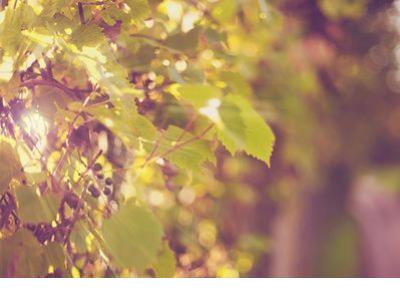 忧愁的说说心情说说 心情不好的说说伤感