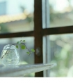 说说伤感心情短语抖音|岁月那一抹嫣红点缀着春秋