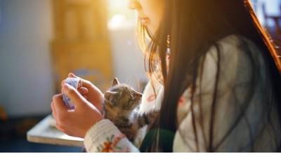 发表朋友圈的经典句子 朋友圈短句子大全