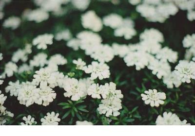 关于爱情的QQ空间