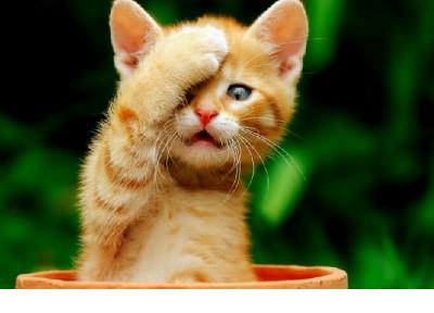 伤感说说心情短语大全 2020说说伤感心情短语