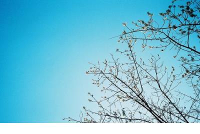 回忆总是那么伤的说说 回忆我们在一起的说说