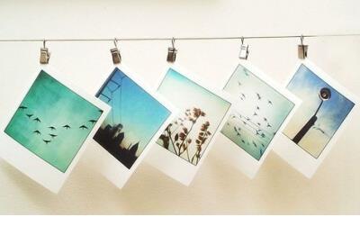 形容美丽心情美丽风景的句子 花开的美丽心情的句子