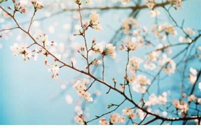 朋友圈微信很火段子 微信朋友圈逗比说说