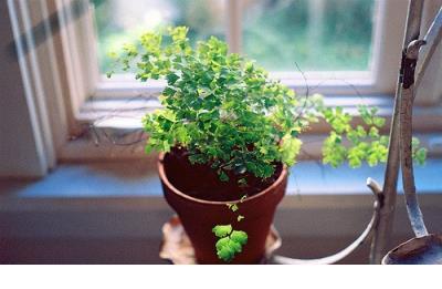 激励自己名言警句 激励自己句子经典