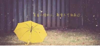 爱情人生感言短句 人生感言经典短句