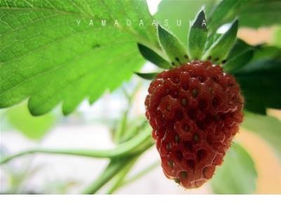 说说大全心情短语 朋友圈说说心情短语