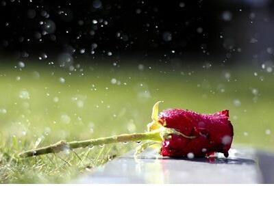 2020最新伤感凄凉说说 说说2019最新说说伤感