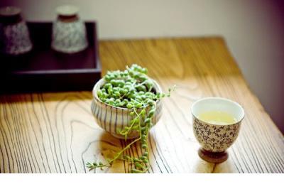 说说控最新文字控女生