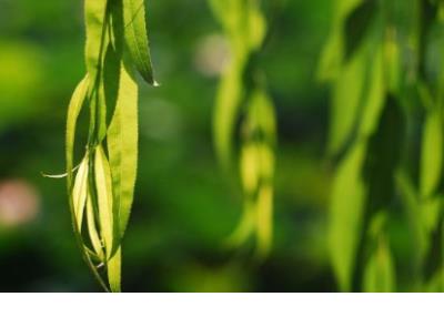 表示自己很累没人帮的句子 觉得自己很累的的句子