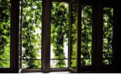 森系清新唯美的句子 文艺唯美意境的句子