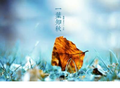 努力奋斗积极向上的句子 积极向上乐观开朗的短句子