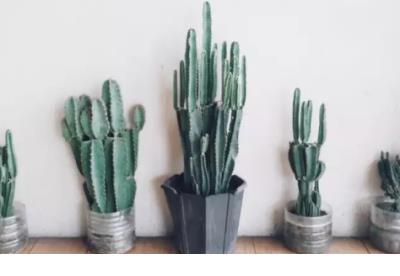 粤语伤感说说心情短语 情侣伤感的说说心情短语