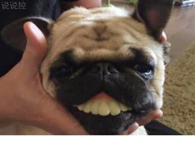 莫名的失落心情短语 失落的说说心情短语