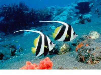 很现实爱情说说2 爱情说说心里话