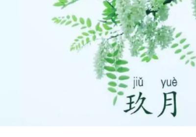 形容心情失落的诗句 伤感诗句痛到心里古诗