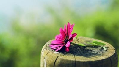 史上最逗比的搞笑说说 可以笑趴的逗比说说