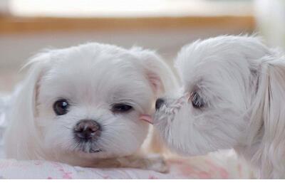 心情不好句子说说