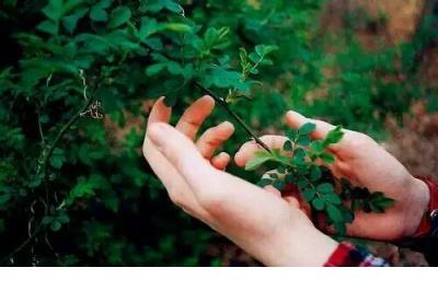 伤感说说配图伤心 伤感说说心情不好