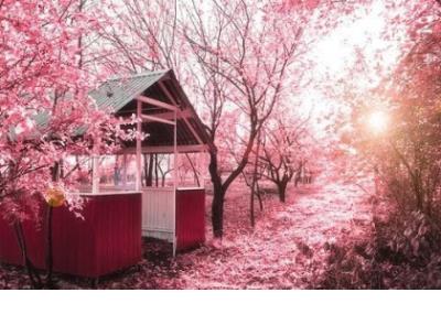 好讨厌自己图片带字 讨厌自己说说图片