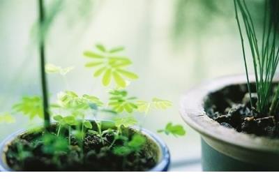 生病难受睡不着的说说 关于生病的说说图片