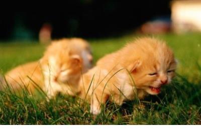 1 爱情说说大全一段话