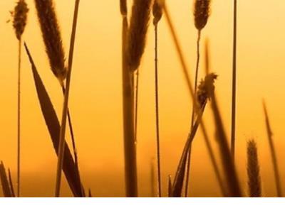 情话说说文字配图 情话说说长句配图