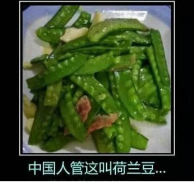 史上最逗比的搞笑说说 可以笑趴的逗比说说