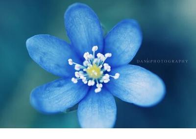 qq说说唯美小清新女生 qq说说配图小清新唯美