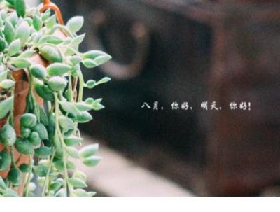 特别有意思的说说