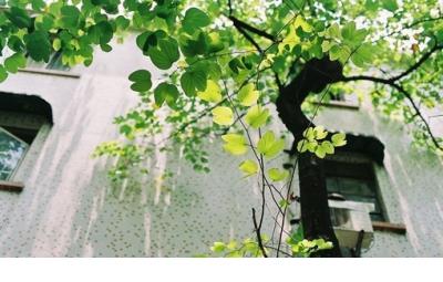 霸气伤感说说致自己 伤感说说图片致自己