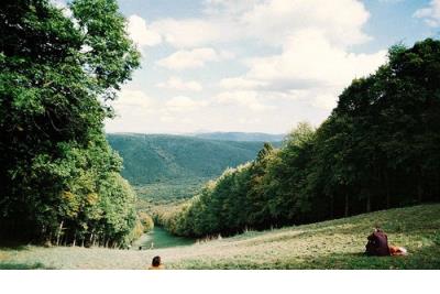 伤心难过句子说说 崩溃绝望句子说说心情