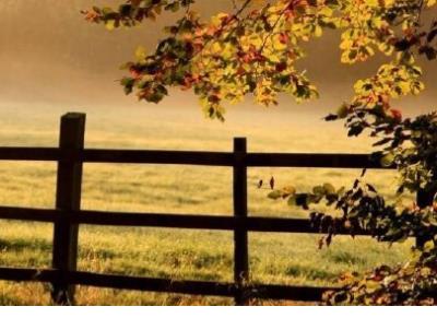 生病难受睡不着的说说 关于生病的说说图片