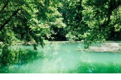 积极向上正能量的说说 阳光正能量的励志说说